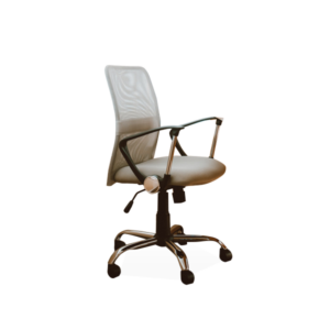 Home working chair with armrest